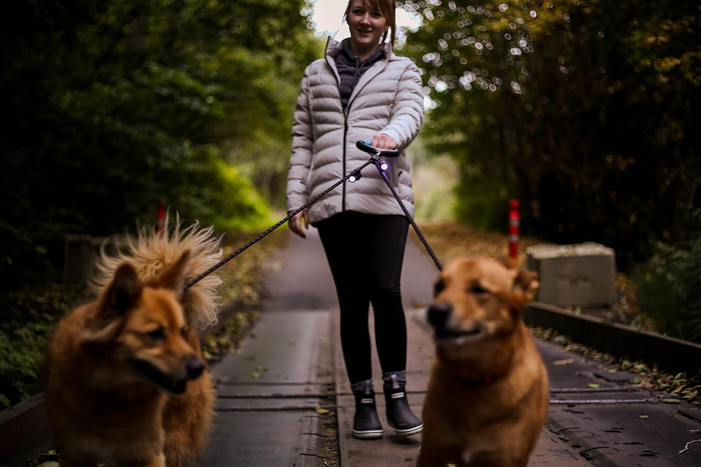 "The Ultimate Dog Tango: Tangle-Free Leash with 360° Spin, Glow-in-the-Dark Magic and a Gel Handle for Fluffy's Nighttime Dance Party!"